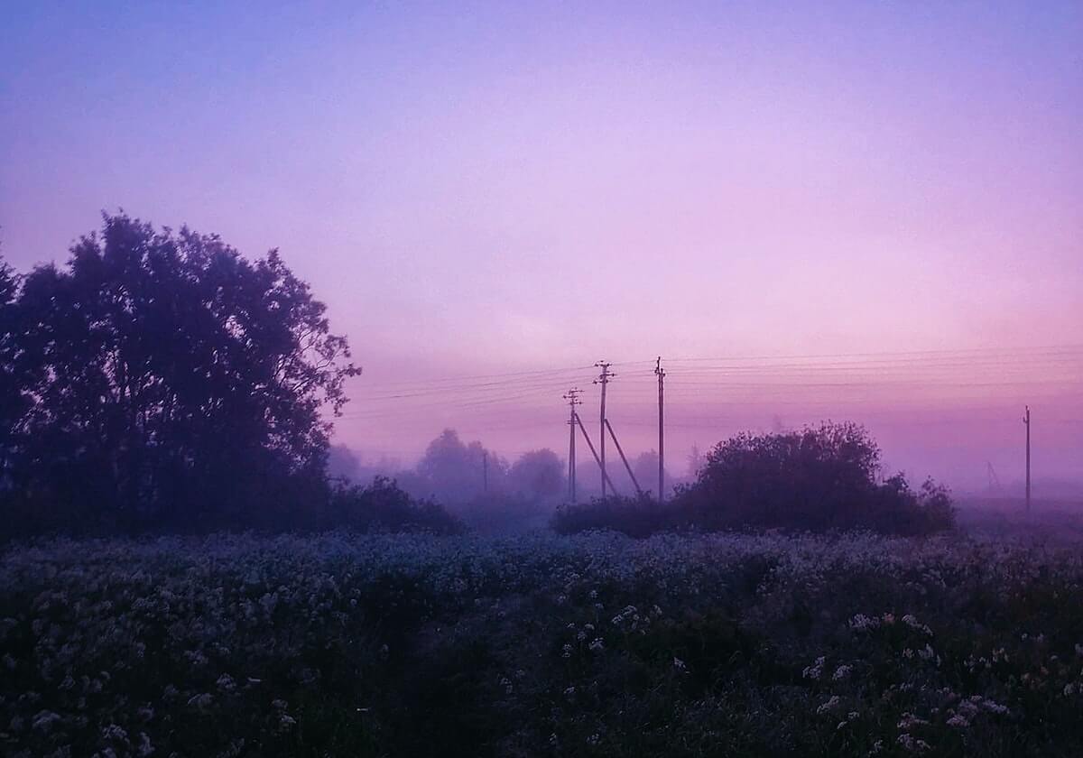 世界杯直播app下载-外媒曝安特卫普有意费莱尼 蓬蓬头回比利时效力？